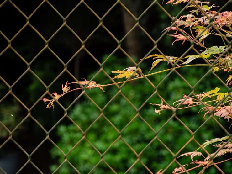 تصویر 1 از خرید و قیمت فنس باغی با فروش عمده